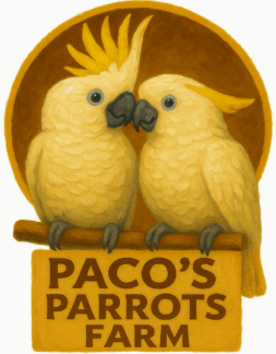 Paco's Parrots Farm